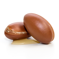 argan oil seeds