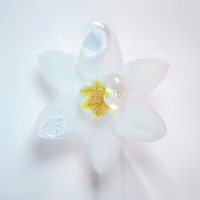 white edelweiss flower