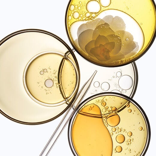 argan oil under a microscope