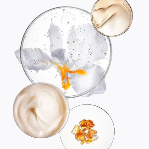 ingredients under a microscope