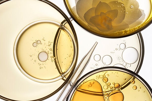 Benefits of Argan Oil for Hair