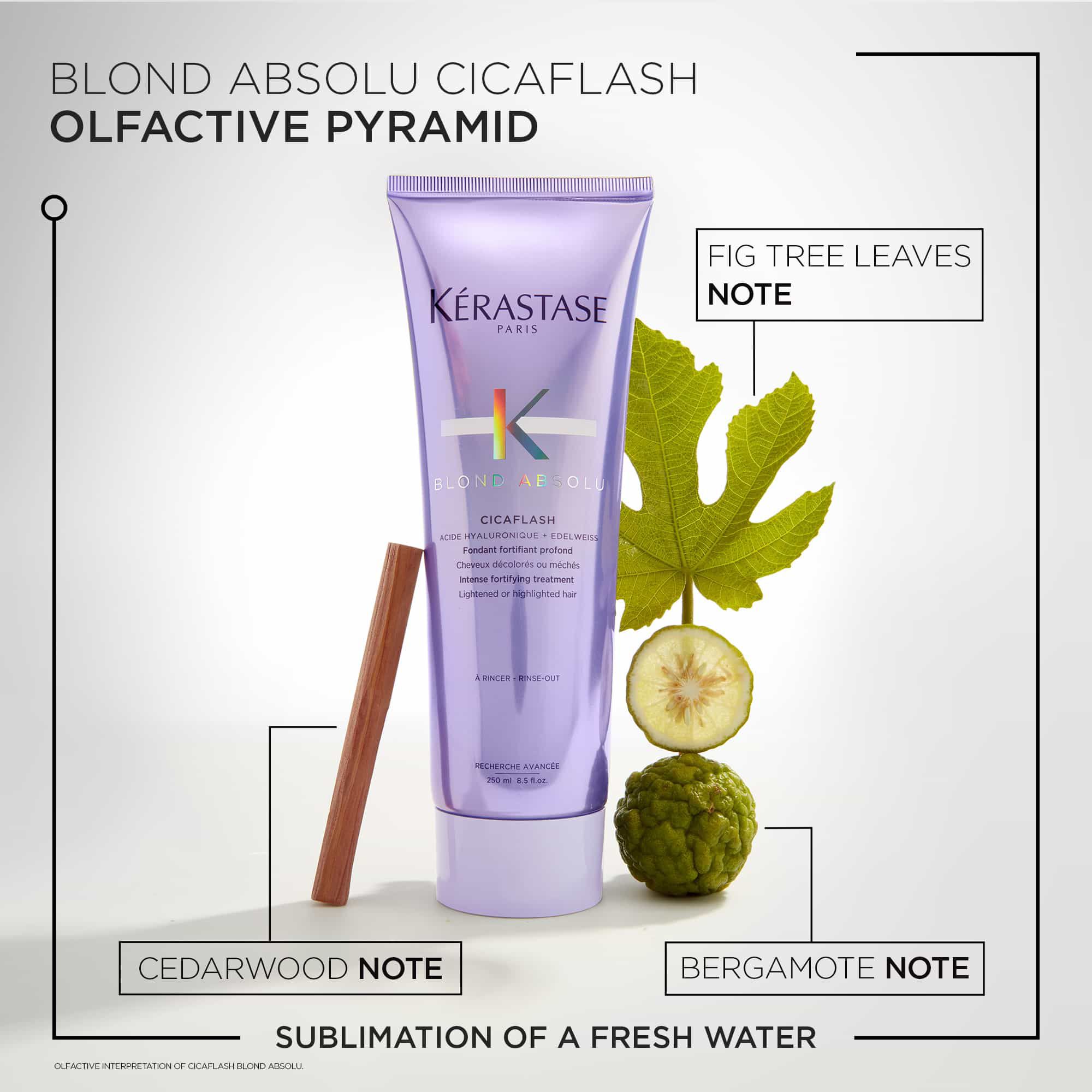 Blond Absolu Hydration Duo