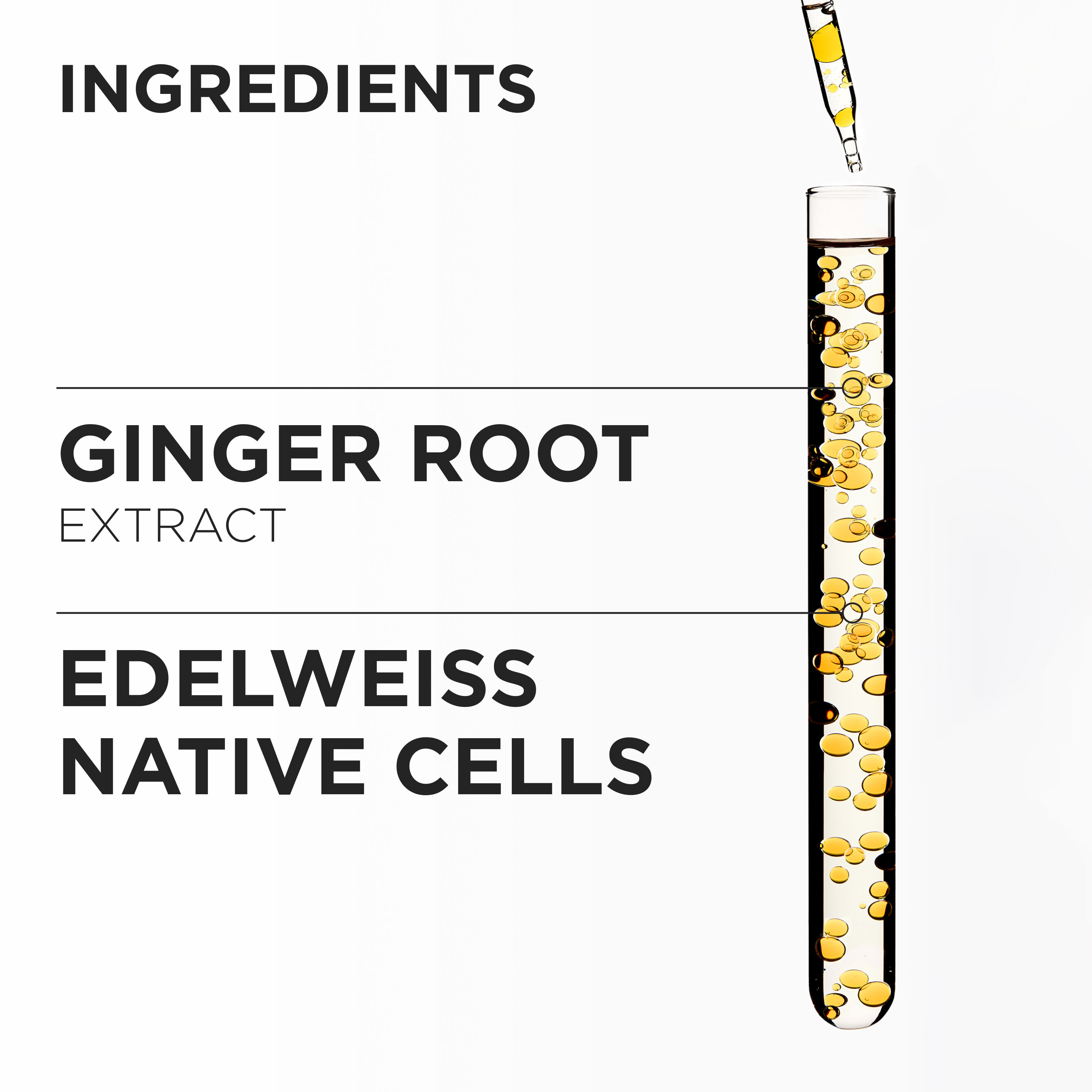 Genesis Bain Hydra-Fortifiant Shampoo For Thin Hair