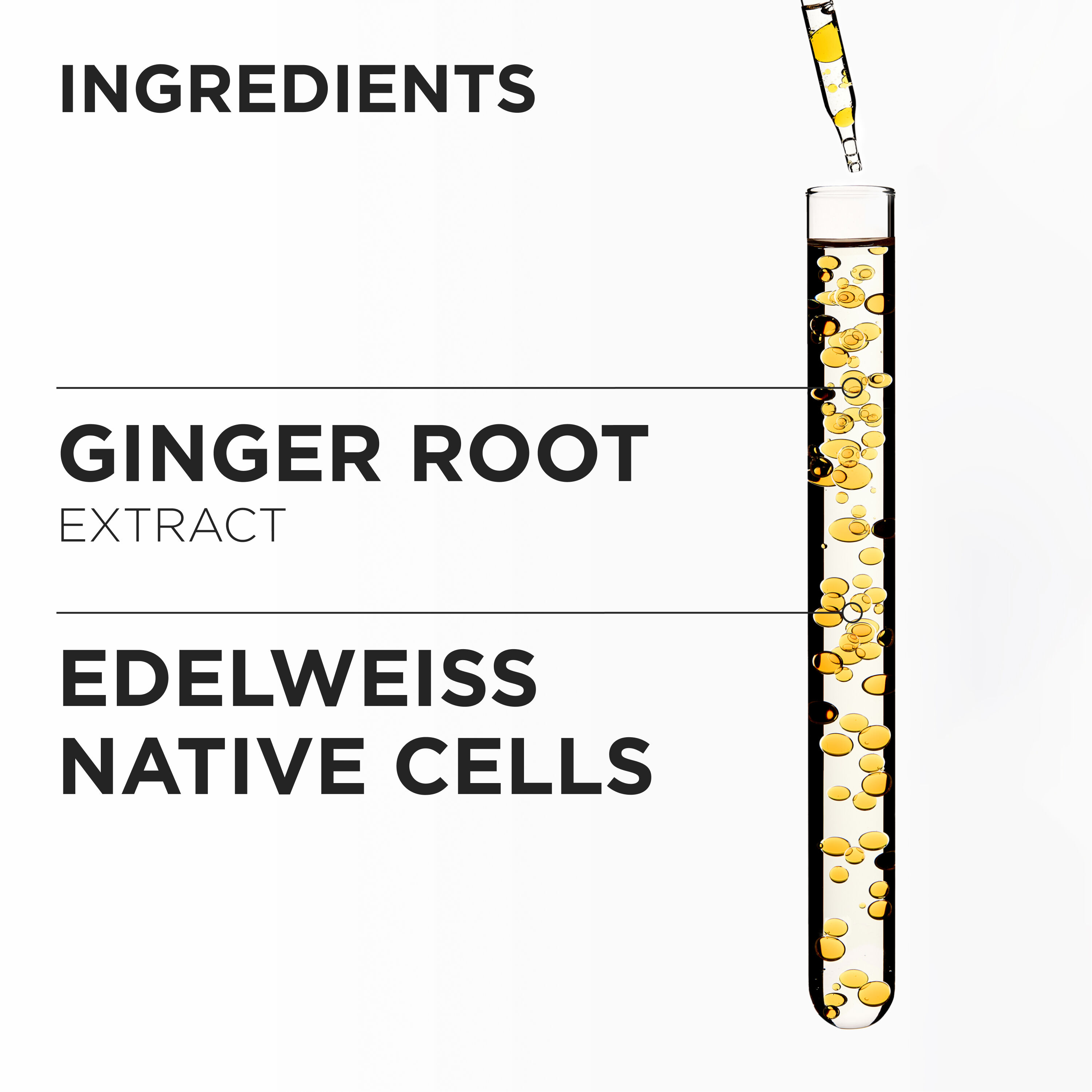 Genesis Fortifying Shampoo For Thick Hair