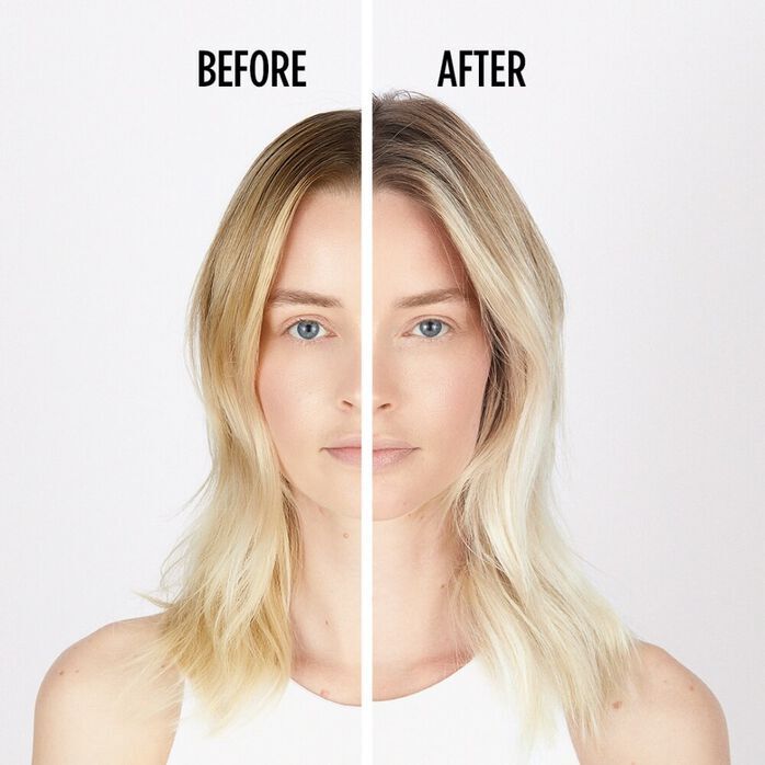 Blond Absolu Repair Regime