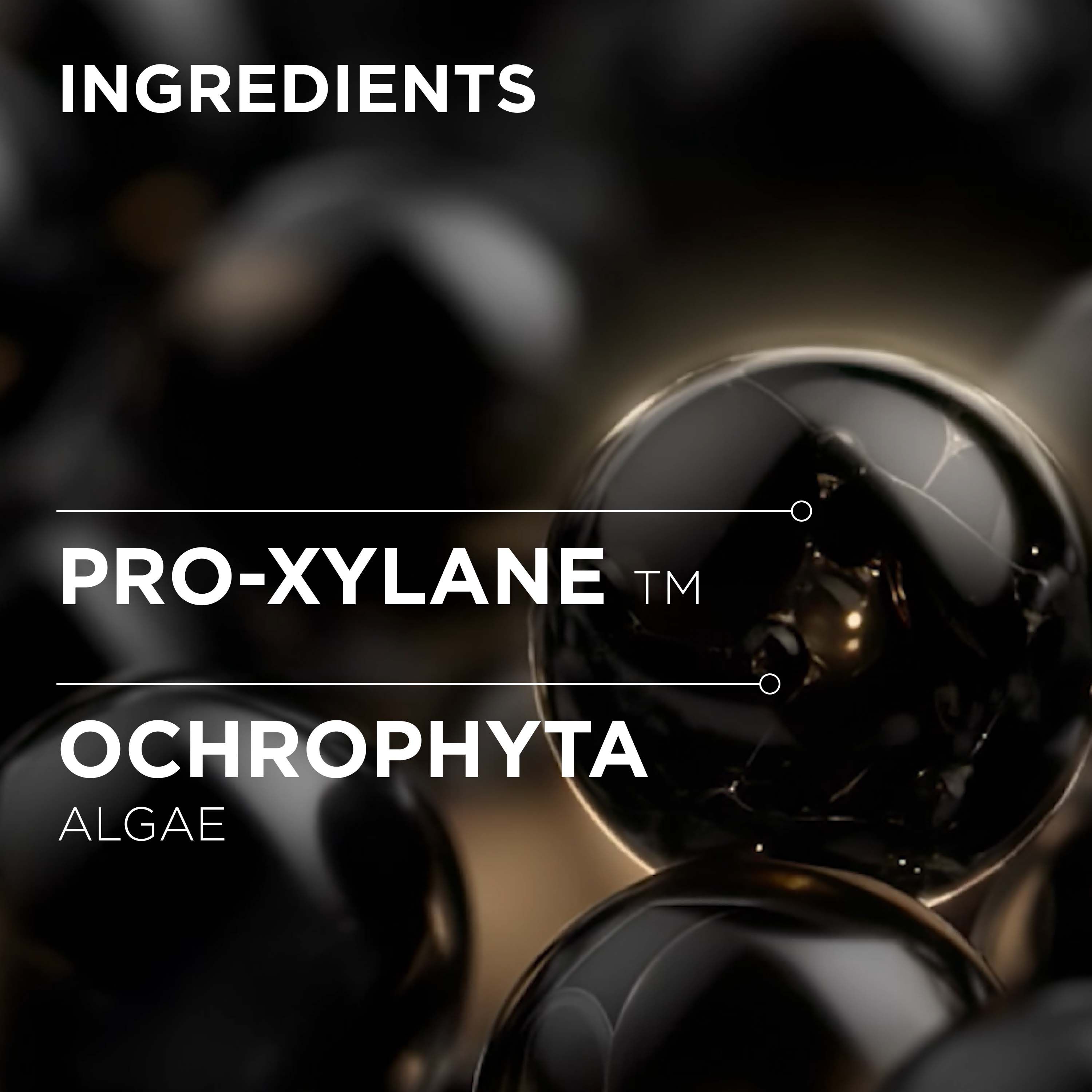 Chronologiste Bain Regenerant Shampoo