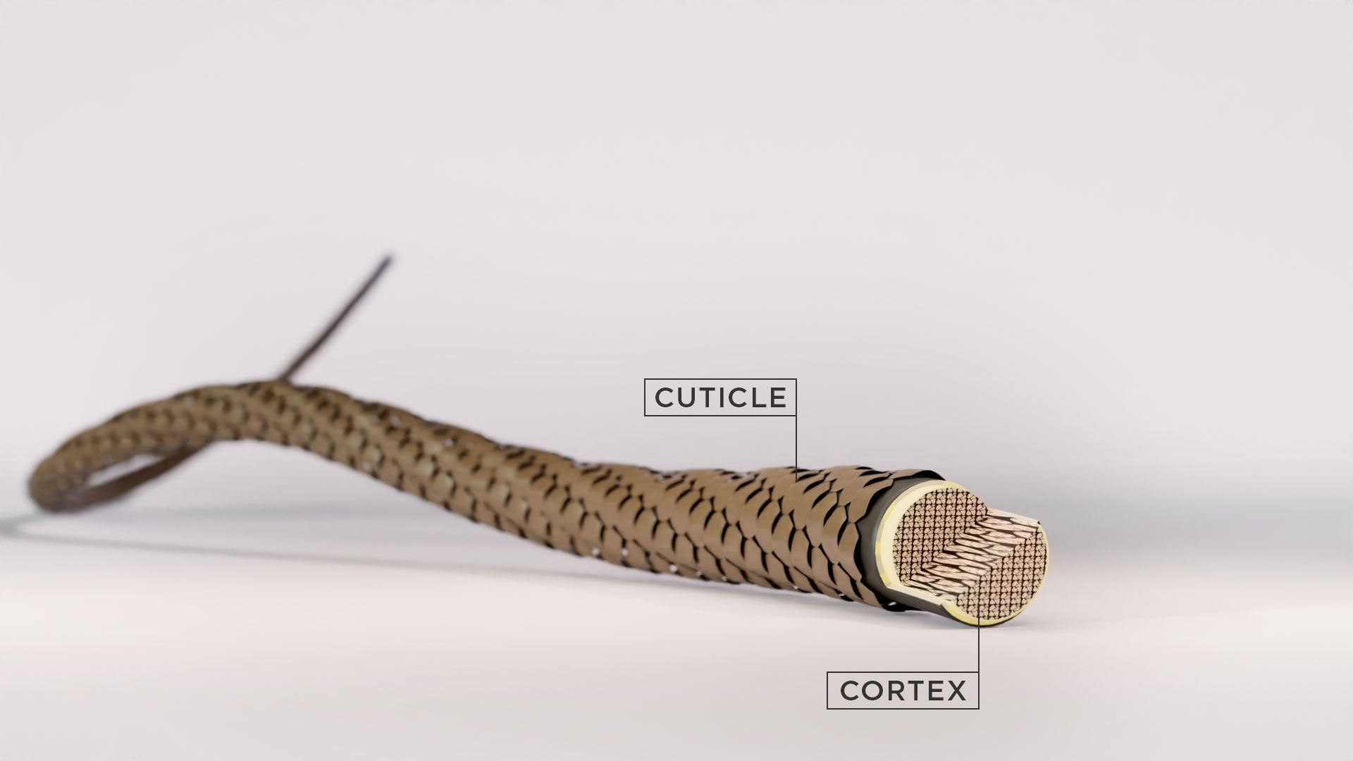 Kérastase effects of Hard Water on Hair Kérastase effects of Hard Water on Hair